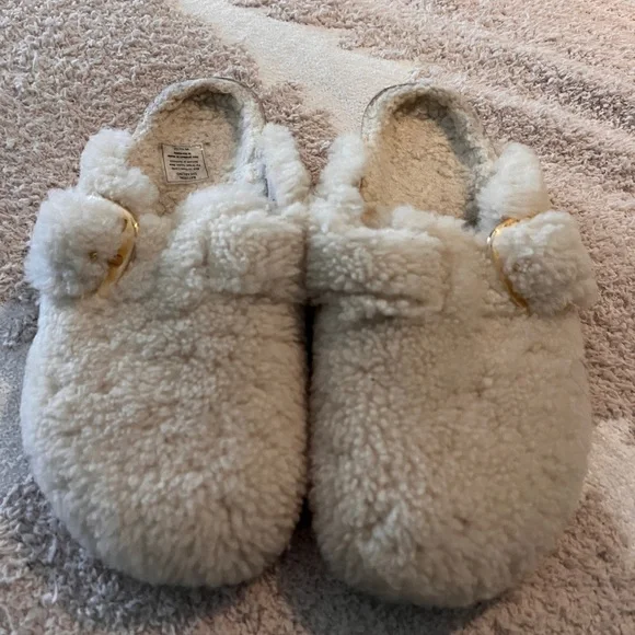 Boston Big Buckle Teddy Shearling Birkenstock Clog - Picture 1 of 8